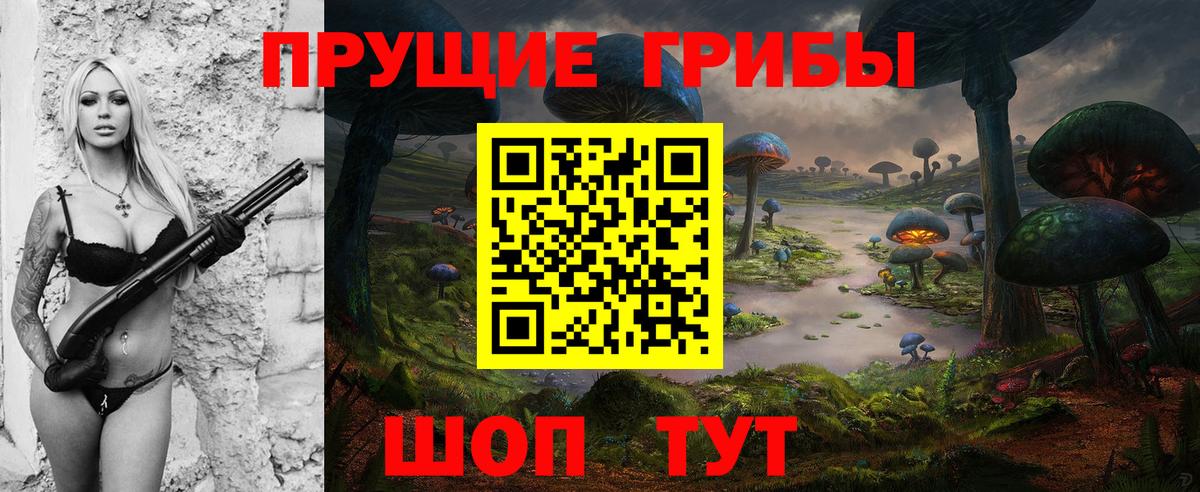 Псилоцибиновые грибы мицелий Кузнецк