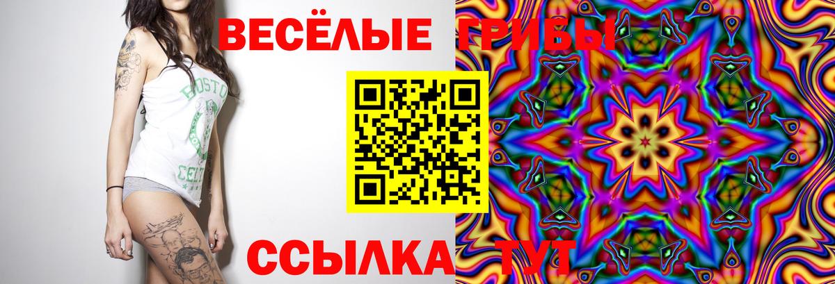 Галлюциногенные грибы мухоморы  Вход с VPN  Кузнецк 
